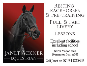 Janet Ackner Equestrian